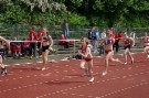 IMGP8009.JPG
