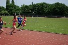IMGP8206.JPG
