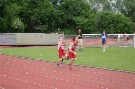 IMGP8319.JPG