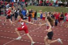 IMGP6211.JPG