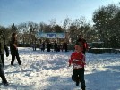 IMG_0349.jpg
