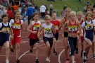 IMGP6250.JPG