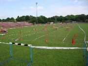 Regionalentscheid S�d-Hessen Kinderleichtathletik