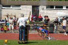 IMGP8133.JPG