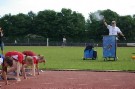IMGP8145.JPG