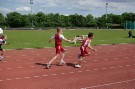 IMGP8292.JPG