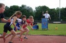 IMGP8147.JPG