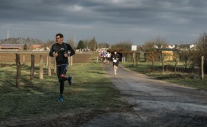 Harald Zemke, Weiterstadt